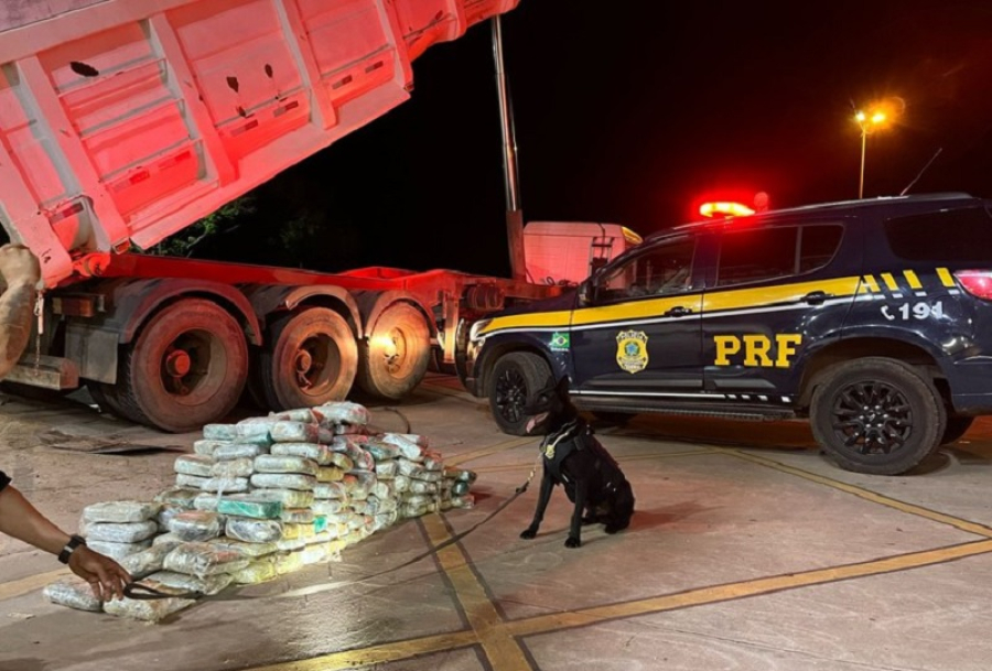 PRF apreende quase 200 tabletes de skunk em caminhão na BR-364 e reforça combate ao tráfico em Mato Grosso